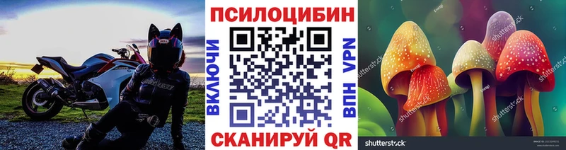 Псилоцибиновые грибы мицелий  Лиски 